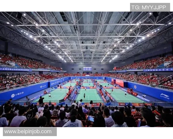 深圳羽毛球队在总决赛中的速度优势分析与表现点评